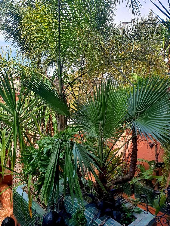 Villa Amira & Spa Marrakesch Exterior foto